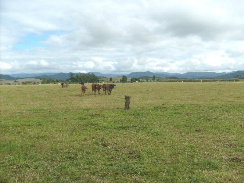Innisfail QLD 4860