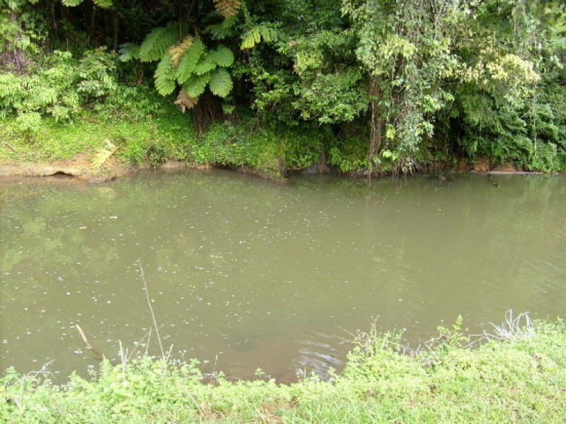 Innisfail QLD 4860