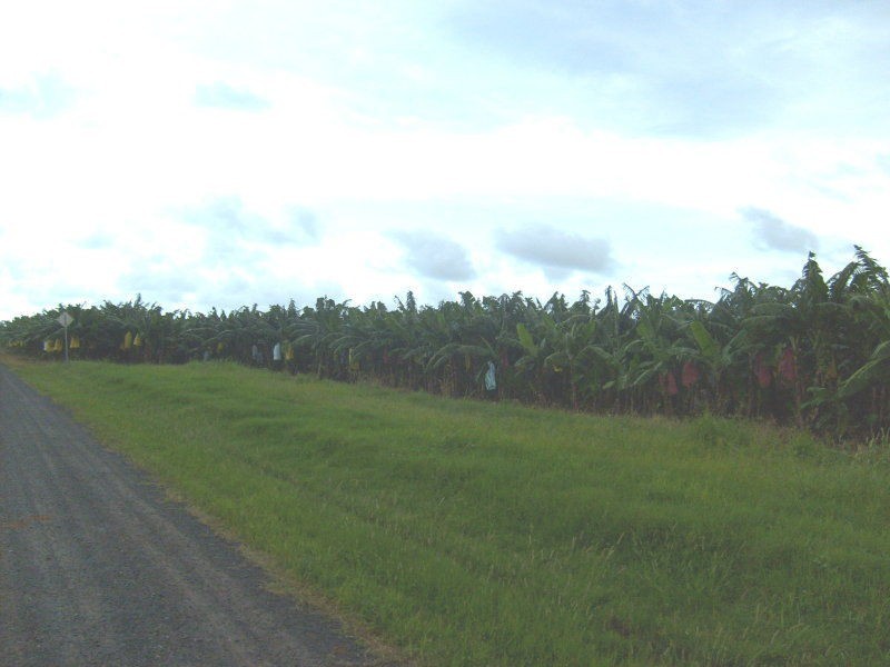 Innisfail QLD 4860