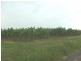 Innisfail QLD 4860