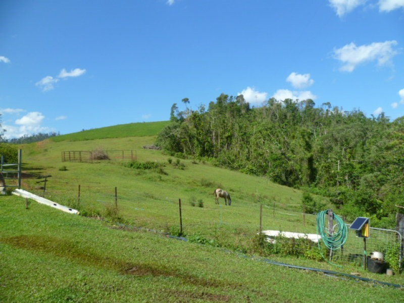 Mena Creek QLD 4871