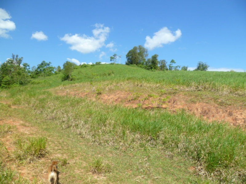 Mena Creek QLD 4871