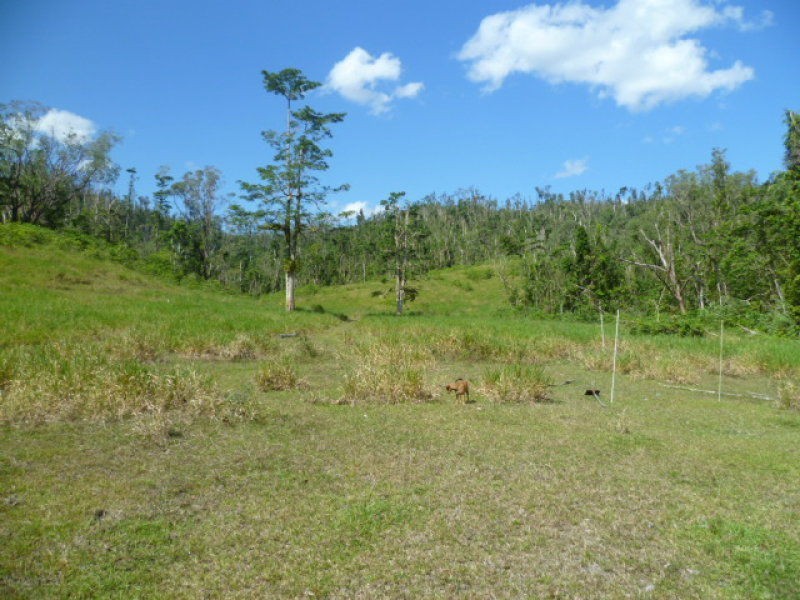 Mena Creek QLD 4871