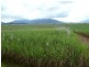 Innisfail QLD 4860