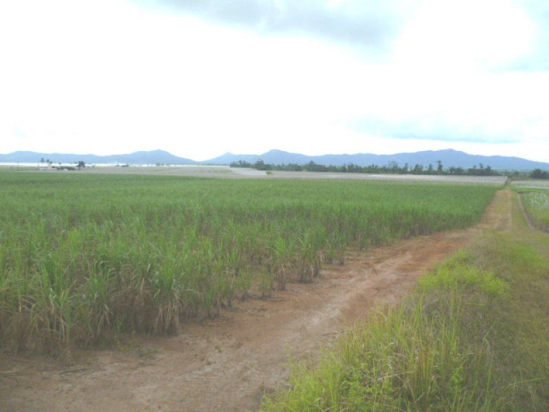 Innisfail QLD 4860