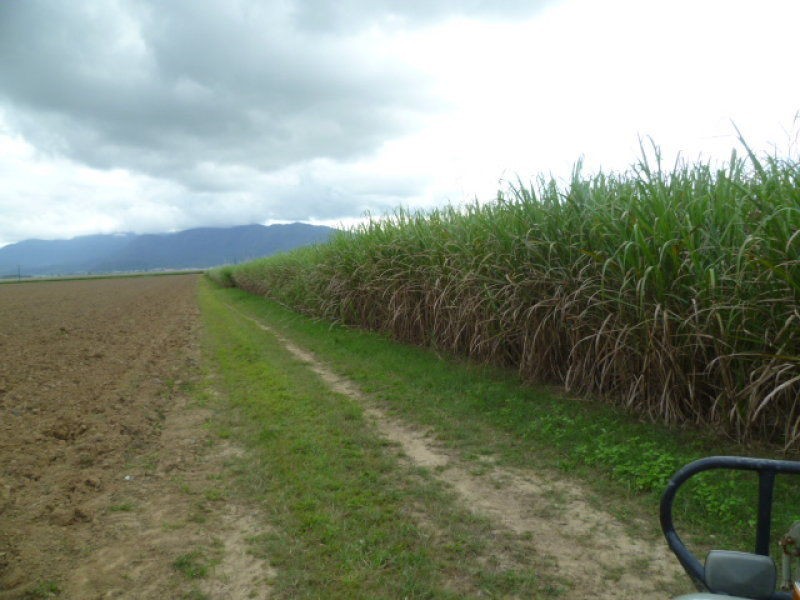 Innisfail QLD 4860