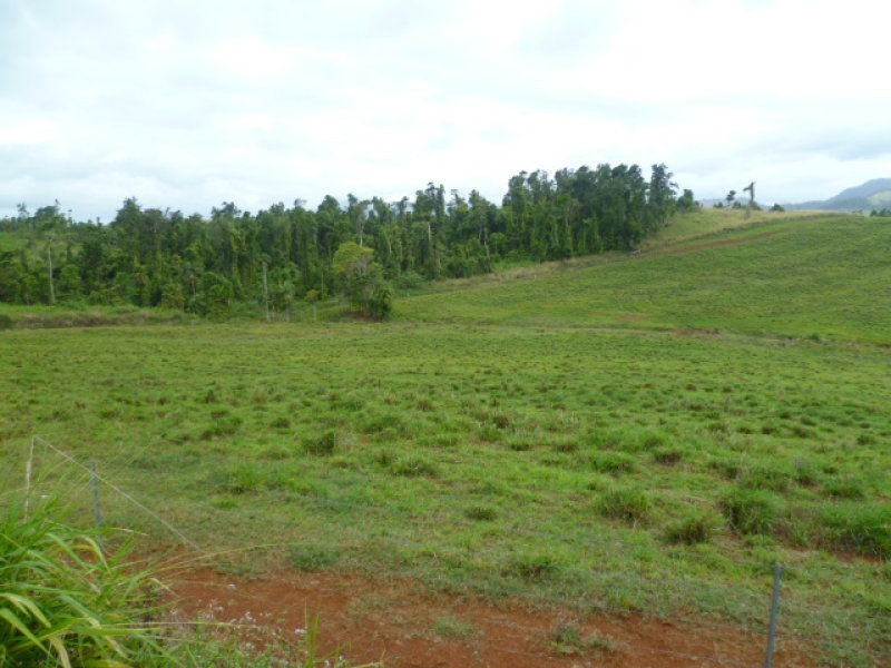 Innisfail QLD 4860