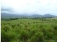 Innisfail QLD 4860