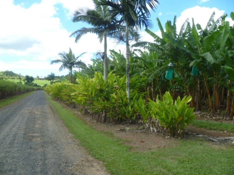 South Johnstone QLD 4859
