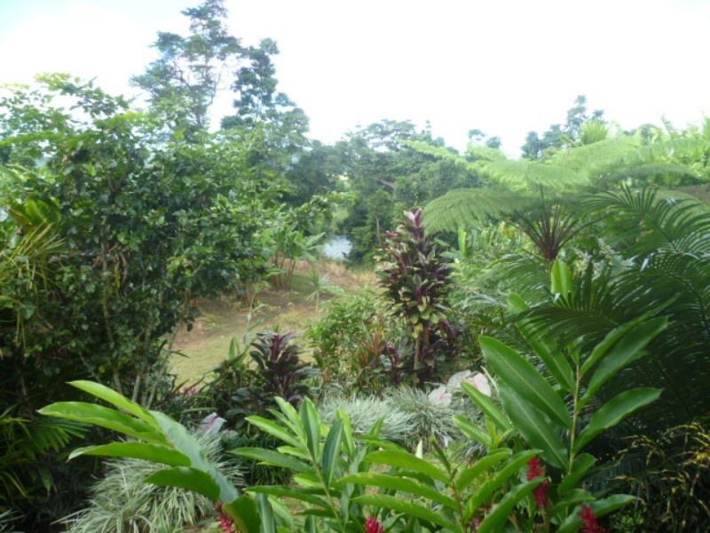 South Johnstone QLD 4859