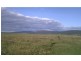 Innisfail QLD 4860