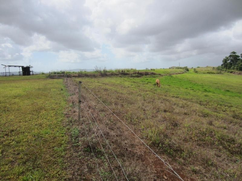 Innisfail QLD 4860