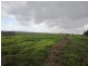 Innisfail QLD 4860