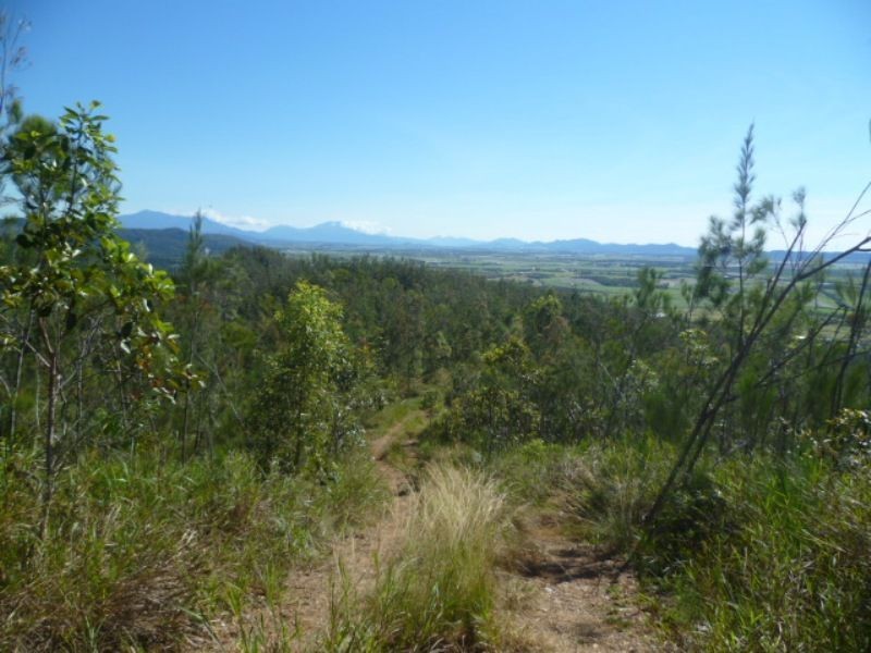 L22 Bruce Highway, Cowley, Innisfail QLD 4860