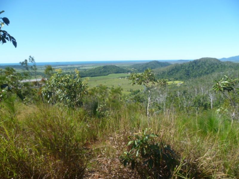 L22 Bruce Highway, Cowley, Innisfail QLD 4860
