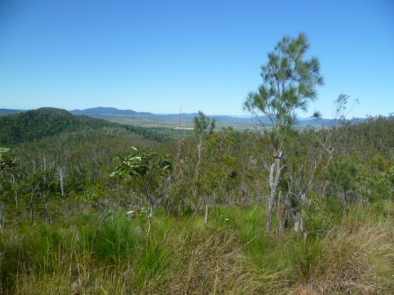 L22 Bruce Highway, Cowley, Innisfail QLD 4860