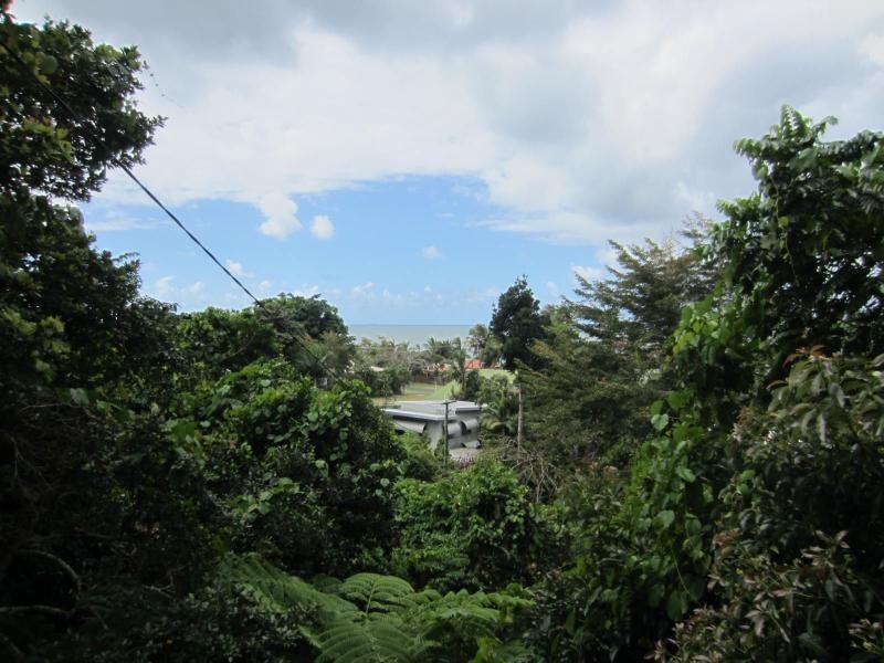 Flying Fish Point QLD 4860