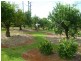 Innisfail QLD 4860