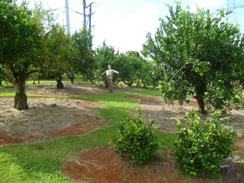 Innisfail QLD 4860