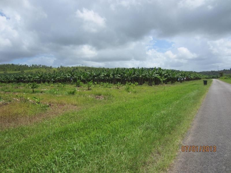 Waugh Pocket QLD 4871