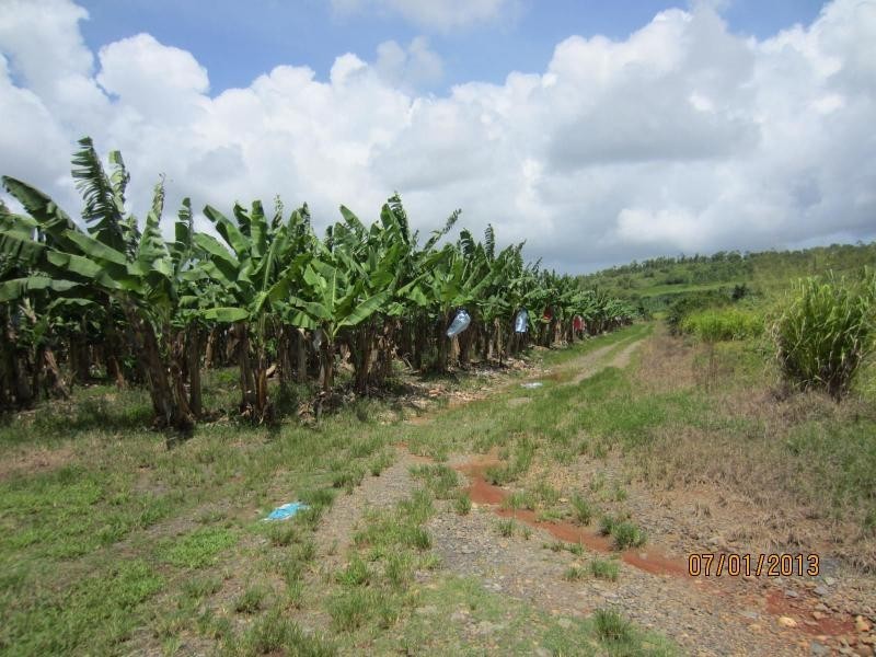 Waugh Pocket QLD 4871