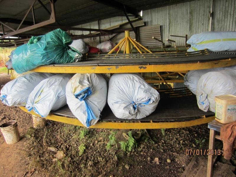 Waugh Pocket QLD 4871