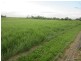 Innisfail QLD 4860