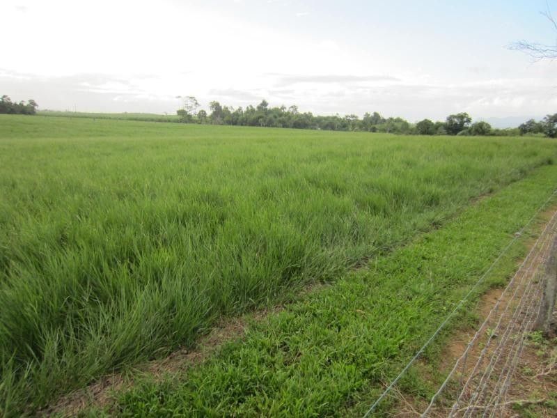 Innisfail QLD 4860