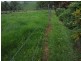 Mena Creek QLD 4871