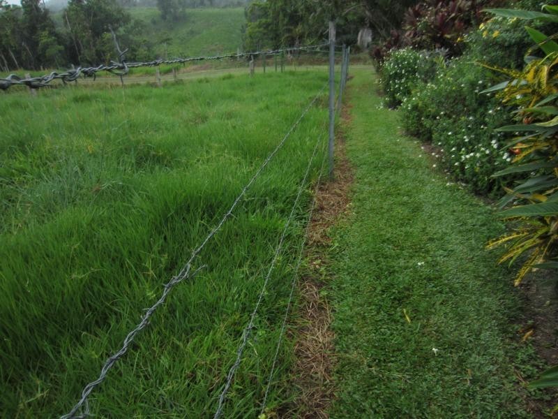 Mena Creek QLD 4871