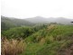 Mena Creek QLD 4871