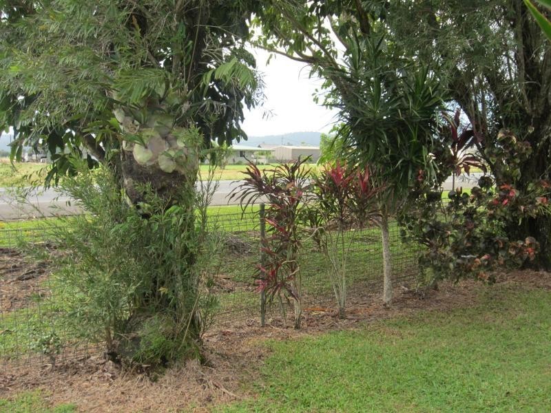 Mourilyan Harbour QLD 4858