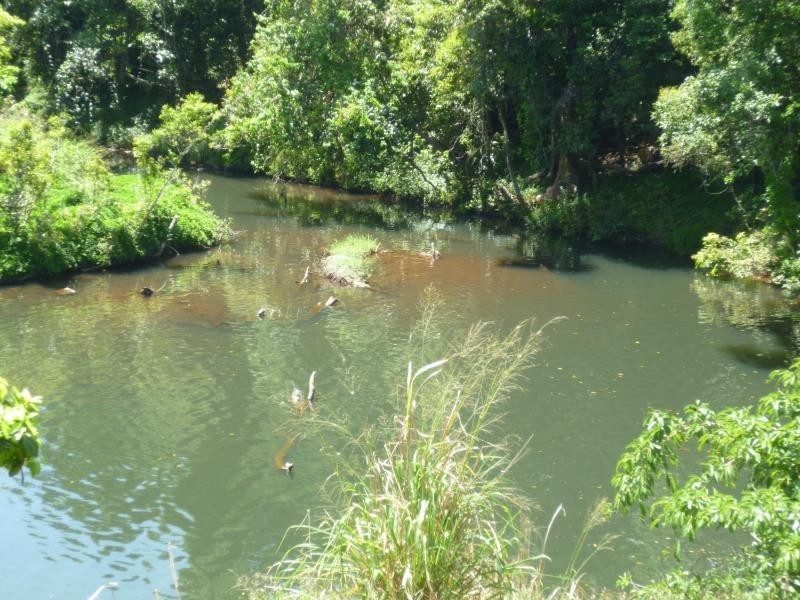 Mena Creek QLD 4871