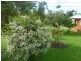 Innisfail QLD 4860
