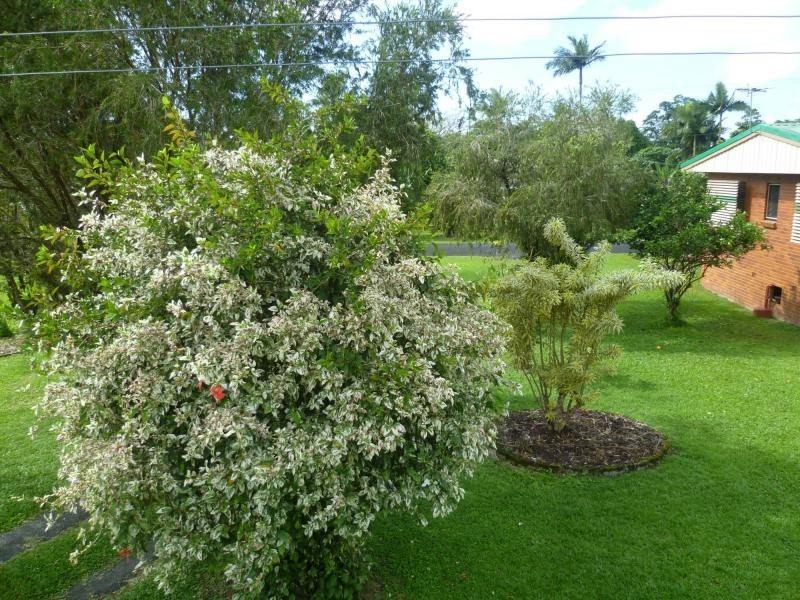 Innisfail QLD 4860