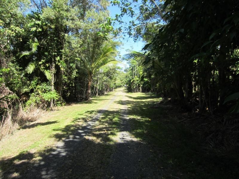 Flying Fish Point QLD 4860