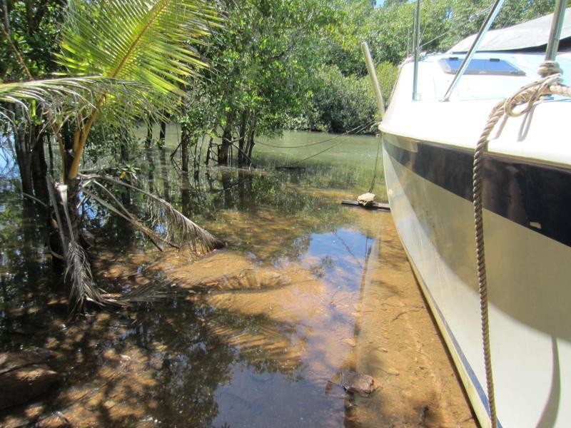 Flying Fish Point QLD 4860