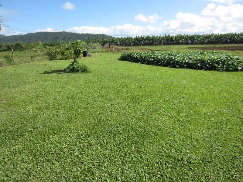 Boogan QLD 4871
