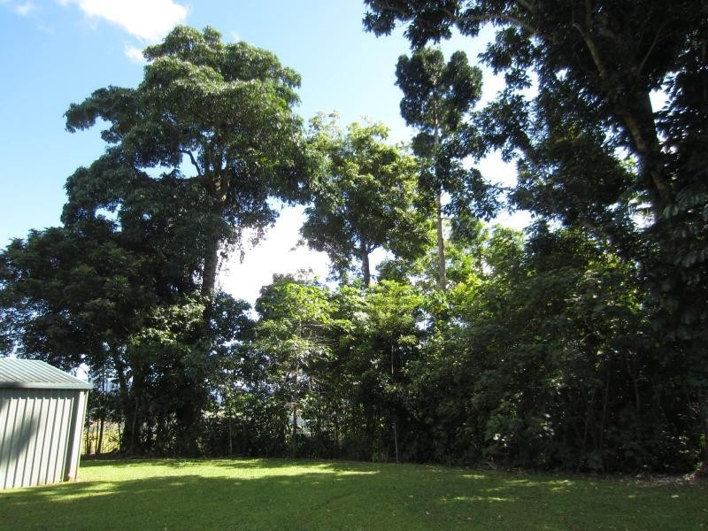 L67 Palmerston Highway East, Innisfail QLD 4860