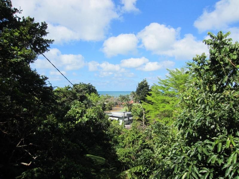 Flying Fish Point QLD 4860