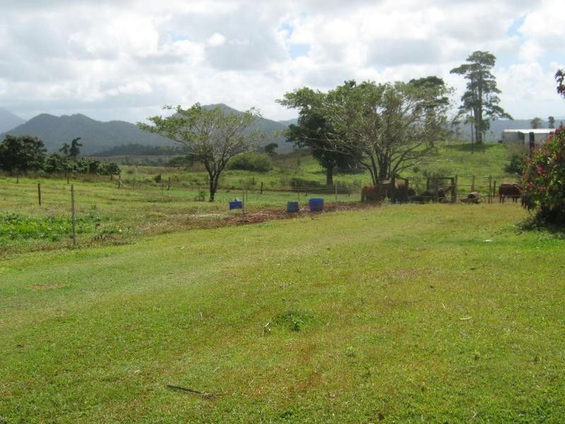 East Palmerston QLD 4860