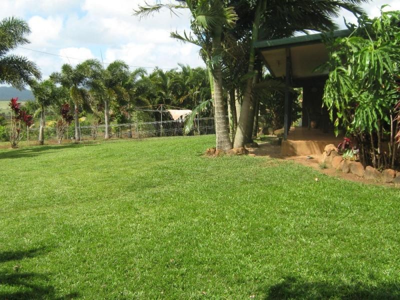 East Palmerston QLD 4860