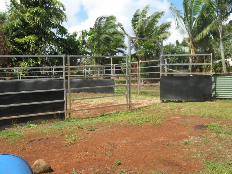 East Palmerston QLD 4860