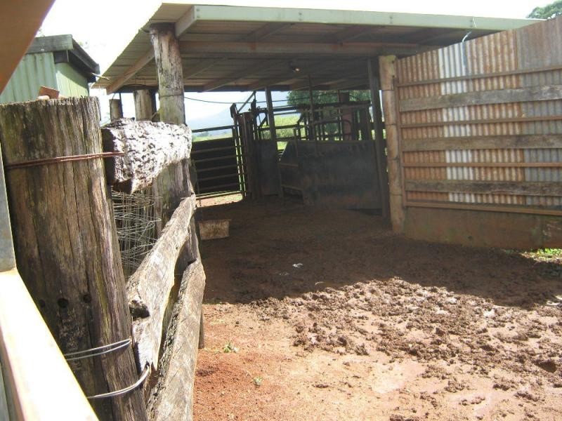 East Palmerston QLD 4860