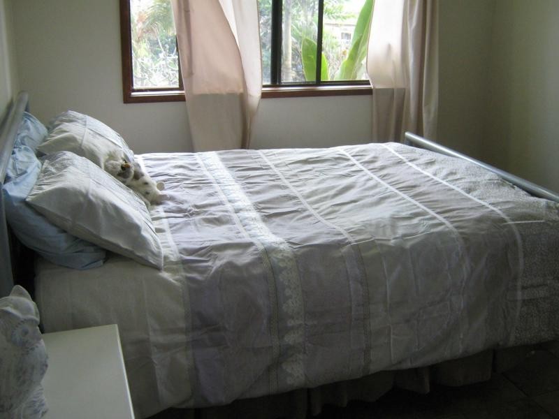 East Palmerston QLD 4860