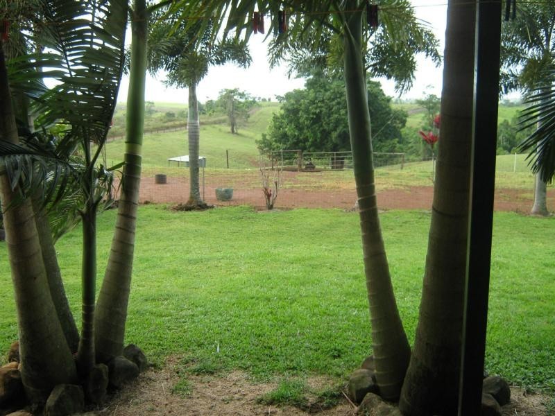 East Palmerston QLD 4860