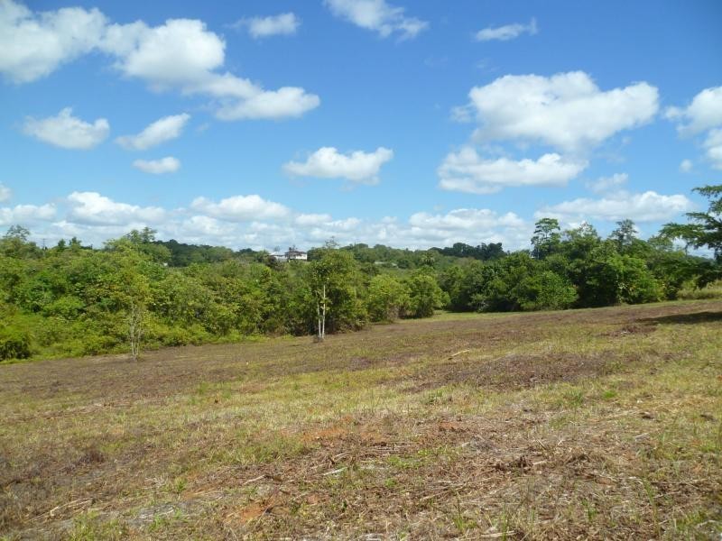 65914 Bruce Highway, Innisfail, Eubenangee QLD 4860