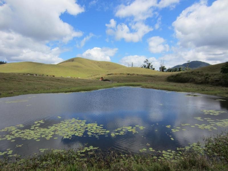 Japoonvale QLD 4856
