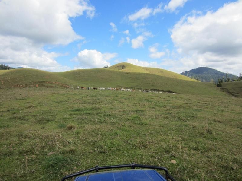 Japoonvale QLD 4856