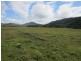 Japoonvale QLD 4856